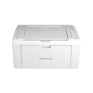PANTUM P2509 - IMPRIMANTE LASER - MONOCHROME A4 - MONOFONCTION - 22 PPM - USB 2.0 - PD219 - GRISE