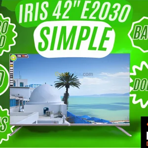 TV IRIS E2030 42" POUCES - LED HD BASIC - FLICKER FREE - DOLBY AUDIO- 16:9 60HZ - HDMI / USB -BLACK